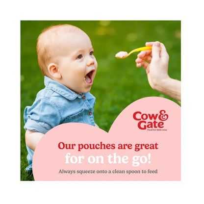 Cow & Gate Fruit Pouch Pear Carrot Prune & Beetroot Baby Food Snack 4+ Months 100g (Pack of 6) Puree